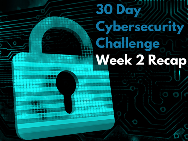 30-day Cybersecurity Challenge: Week 2 Recap