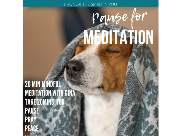Mindful Meditation via Zoom