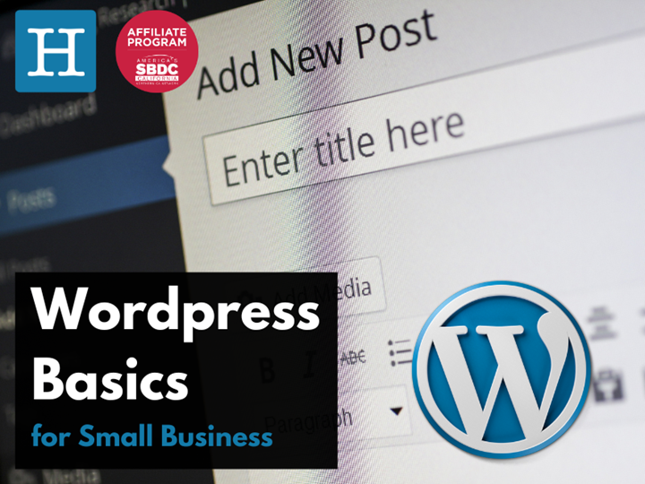 WordPress Basics for Small Businesses & Freelancers